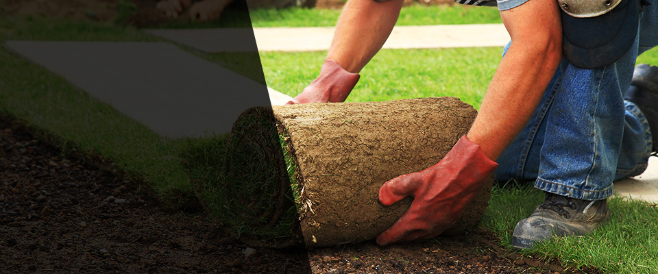 Bremerton Landscapers